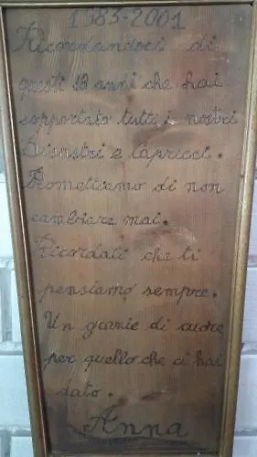 Villa Lavinia Rimini Hotel
